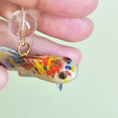Canvas the Betta