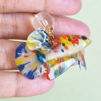 Canvas the Betta