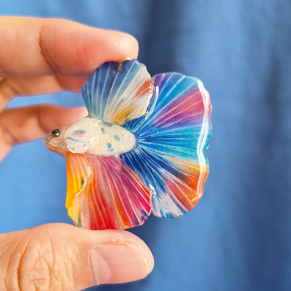 Iris the Betta