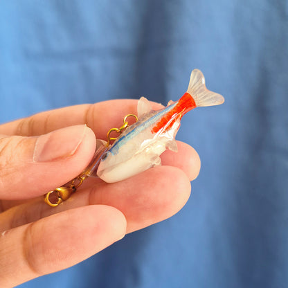 Neon Tetra (Pre-order)