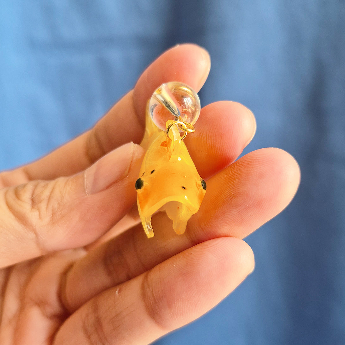 Sugar the Goldfish