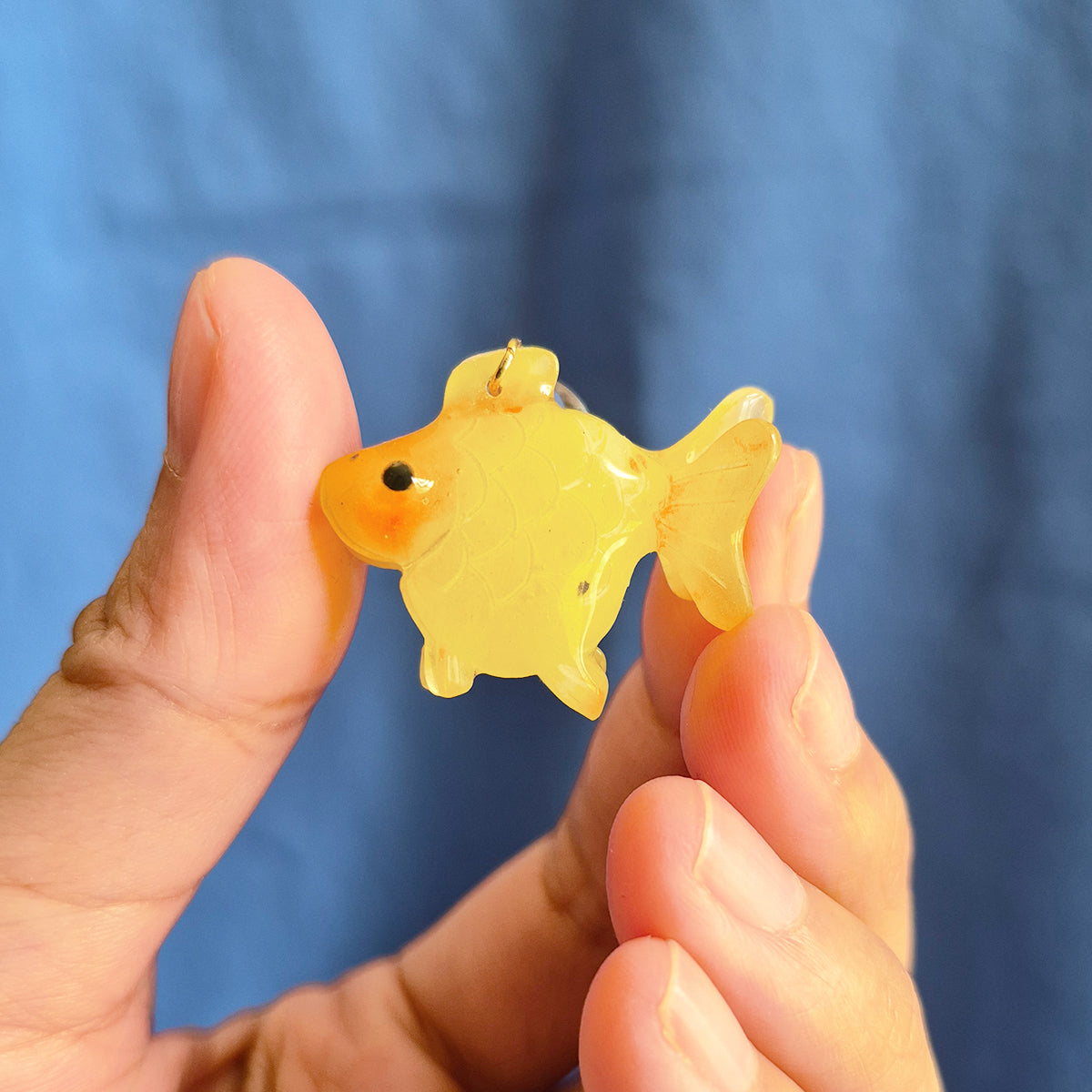 Sugar the Goldfish