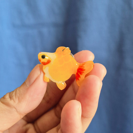 Coco the Goldfish